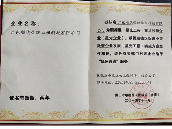 开云电竞荣获政府重点扶持企业